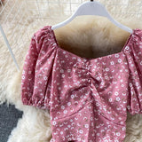 DAYETON - B ANN'S BOUTIQUE, LLC