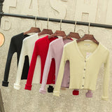 KNITTED V-NECK CARDIGAN - B ANN'S BOUTIQUE