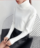 TIA’S TURTLENECK - B ANN'S BOUTIQUE
