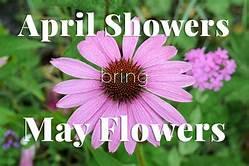 APRIL SHOWERS BRING MAY FLOWERS