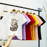 CAT NAP TEE - B ANN'S BOUTIQUE, LLC