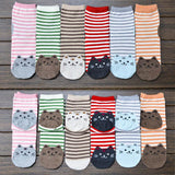 CUTE AS A KITTEN SOCKS - B ANN'S BOUTIQUE