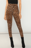 JUNGLE JANE LEGGINGS - B ANN'S BOUTIQUE