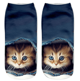 KITTEN COMES ALIVE 3D SOCKS - B ANN'S BOUTIQUE