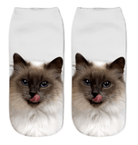 KITTEN COMES ALIVE 3D SOCKS - B ANN'S BOUTIQUE