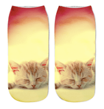 KITTEN COMES ALIVE 3D SOCKS - B ANN'S BOUTIQUE