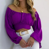 TIMELESS ELEGANCE: SHEER LANTERN SLEEVE V-NECK BLOUSE - B ANN'S BOUTIQUE, LLC